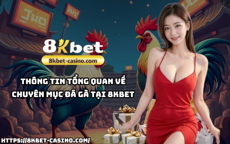 Tổng quan về đá gà 8KBET: Những thông tin cần biết để tham gia và đặt cược an toàn, dễ dàng